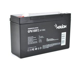 Акумулятор дитячого електромобіля Merlion 6V 10AH GP6100F2 AGM GP6100F2 фото