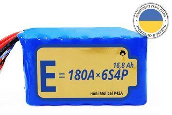 Акумуляторна батарея 6S4P Energy Life 16800 мАч Moliсel 21700-P42A Li-Ion 10AWG без конектора (001) ENL-6S4P-21700-P42A-001 фото