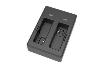 Зарядное устройство SJCam на два аккумулятора для камер SJ9 STRIKE SJ9-dual-charger фото